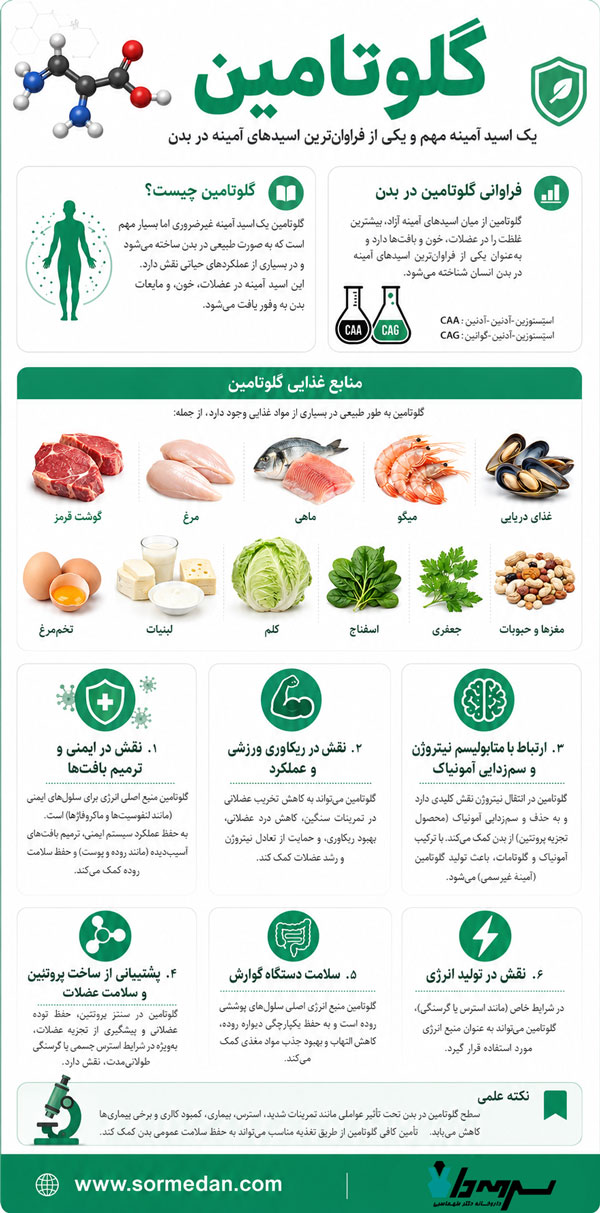 گلوتامین چیست و چه فوایدی برای بدنسازی و ریکاوری دارد