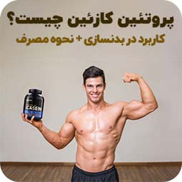 پروتئین کازئین چیست؟ (فواید، عوارض و نحوه مصرف)