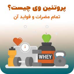 پروتئین وی چیست + تاثیراتش بر پیری، کبد، کلیه و..