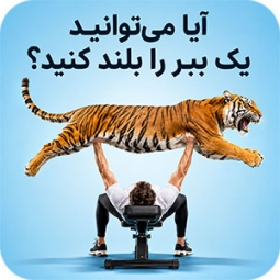 آیا می‌توانید یک ببر را بلند کنید؟