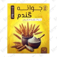 پودر جوانه گندم آسا دشت | 25 ساشه