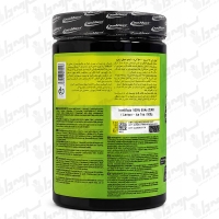 پودر آمینو EAA زیرو آیرون مکس | 500 گرمی
