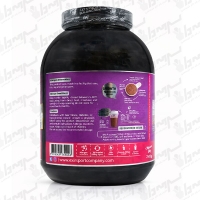 پودر گینر ماسل اسکای | 2500 گرم