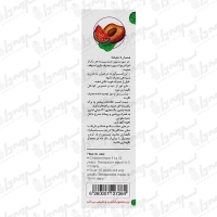 شربت ملین پلاموفیگ رایا گستران اکسیر | 120 میلی لیتر