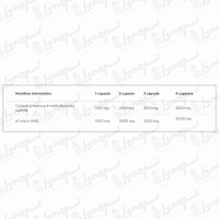 مکمل اچ ام بی 1250 مگا کپس الیمپ | 120 کپسول